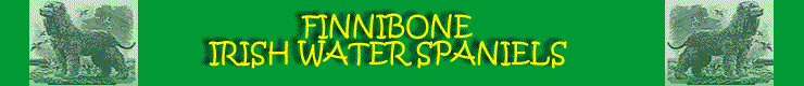 finnibone logo